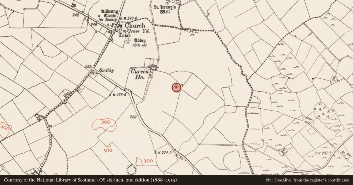Ordnance Survey six-inch map, 2nd edition (1888–1915) covering the location of Ringfort - rath, Kilkenny Abbey, County Westmeath, with a pin at the register's coordinates