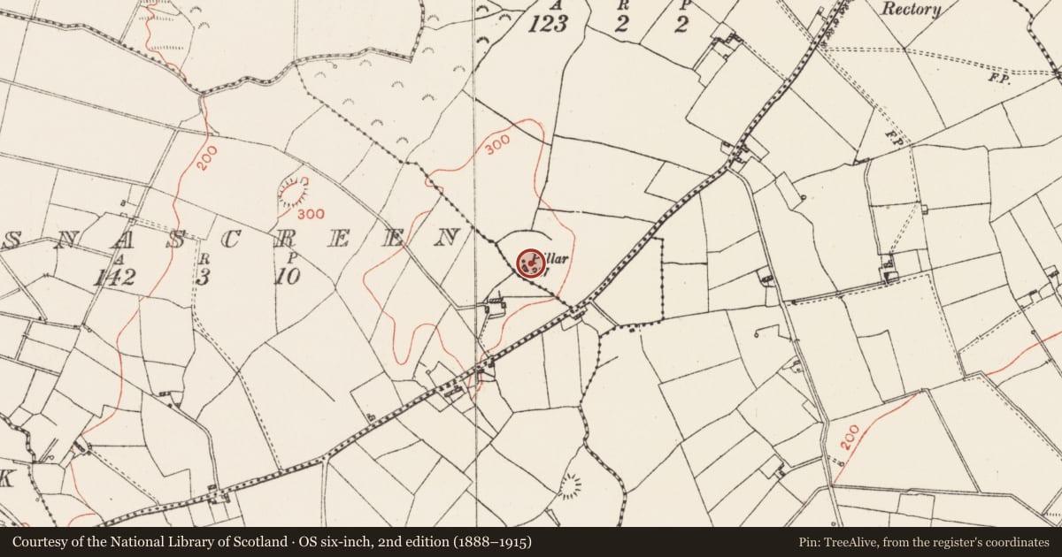 Ordnance Survey six-inch map, 2nd edition (1888–1915) covering the location of Ringfort - rath, Kilkenny Lanesborough, County Westmeath, with a pin at the register's coordinates
