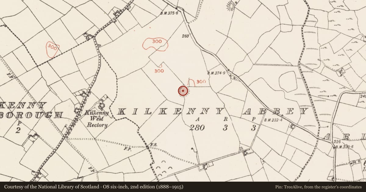 Ordnance Survey six-inch map, 2nd edition (1888–1915) covering the location of Ringfort - rath, Kilkenny Abbey, County Westmeath, with a pin at the register's coordinates