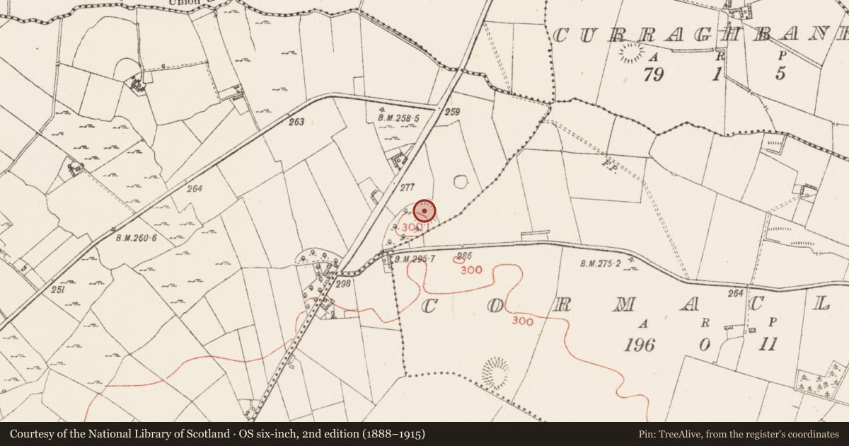 Ordnance Survey six-inch map, 2nd edition (1888–1915) covering the location of Ringfort - rath, Ardnagragh (Digby), County Westmeath, with a pin at the register's coordinates