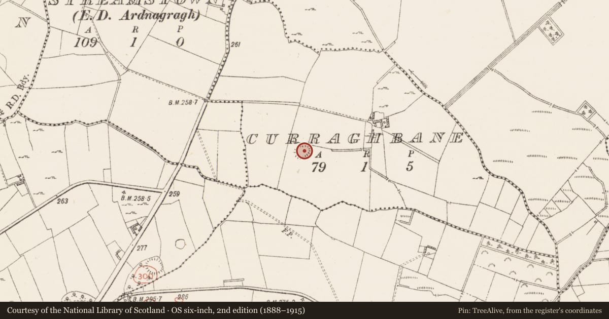 Ordnance Survey six-inch map, 2nd edition (1888–1915) covering the location of Ringfort - unclassified, Curraghbane, County Westmeath, with a pin at the register's coordinates