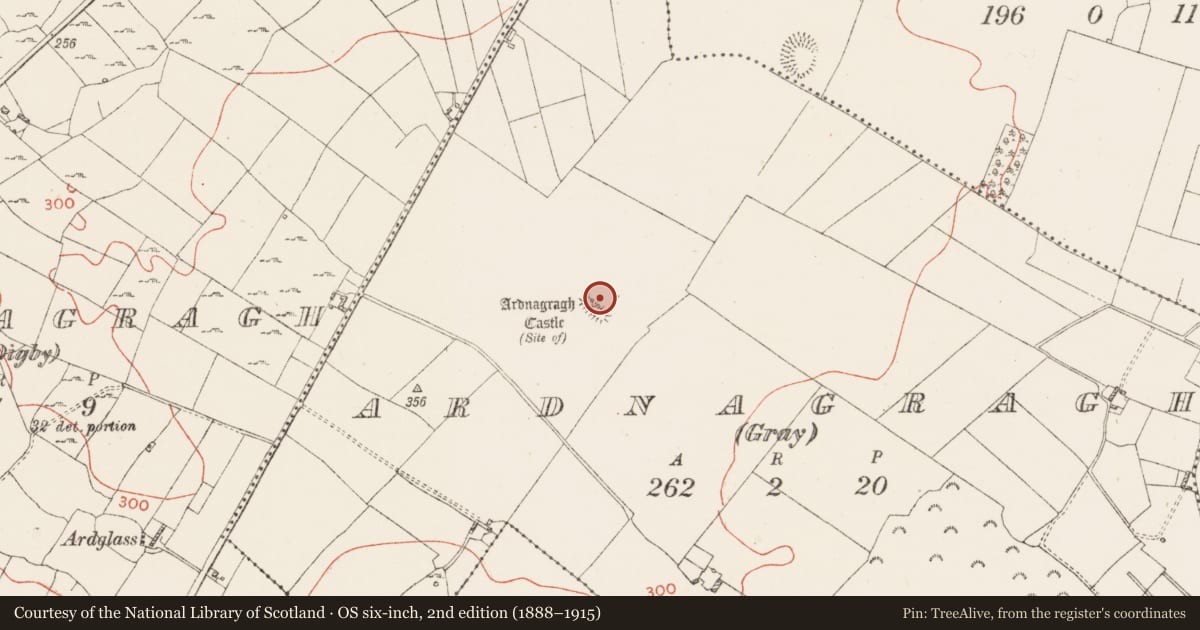 Ordnance Survey six-inch map, 2nd edition (1888–1915) covering the location of Castle - tower house, Ardnagragh (Gray), County Westmeath, with a pin at the register's coordinates