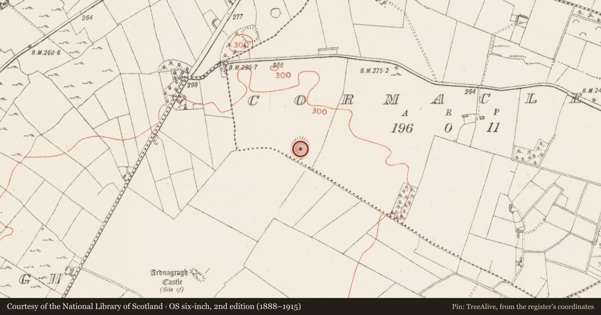 Ordnance Survey six-inch map, 2nd edition (1888–1915) covering the location of Ringfort - rath, Cormaclew, County Westmeath, with a pin at the register's coordinates