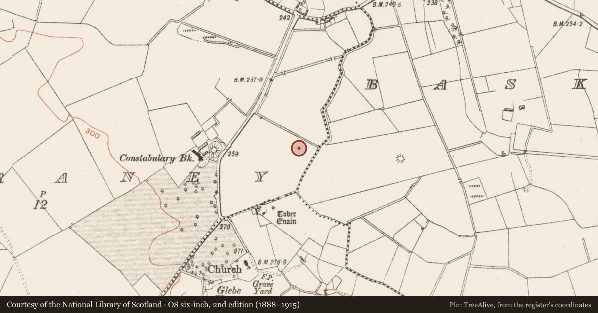 Ordnance Survey six-inch map, 2nd edition (1888–1915) covering the location of Earthwork, Drumraney, County Westmeath, with a pin at the register's coordinates