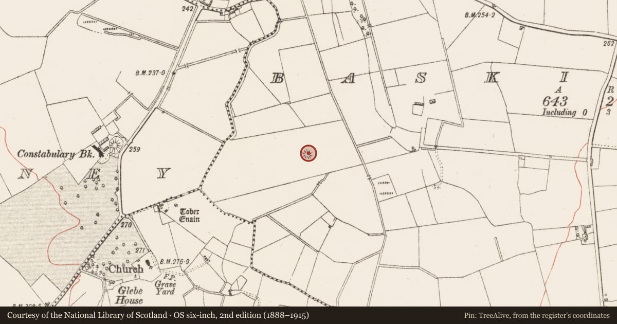 Ordnance Survey six-inch map, 2nd edition (1888–1915) covering the location of Burial mound, Baskin Low, County Westmeath, with a pin at the register's coordinates