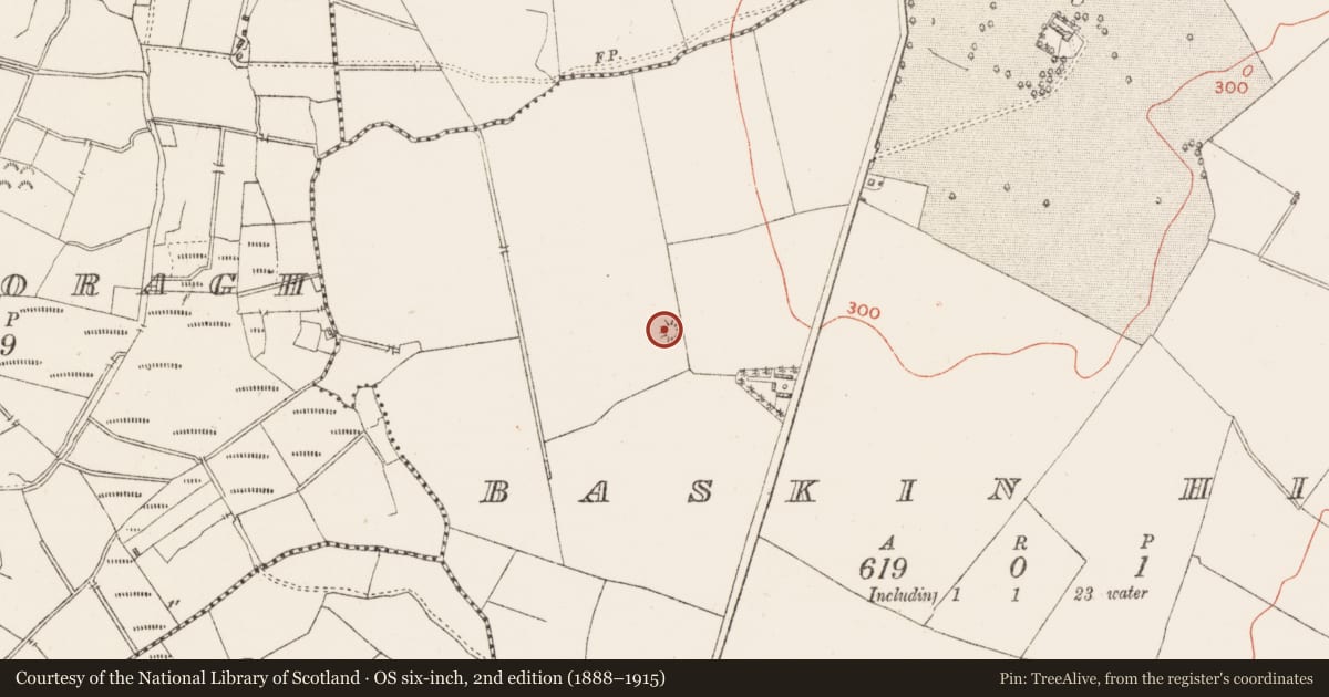 Ordnance Survey six-inch map, 2nd edition (1888–1915) covering the location of Ringfort - rath, Baskin High, County Westmeath, with a pin at the register's coordinates
