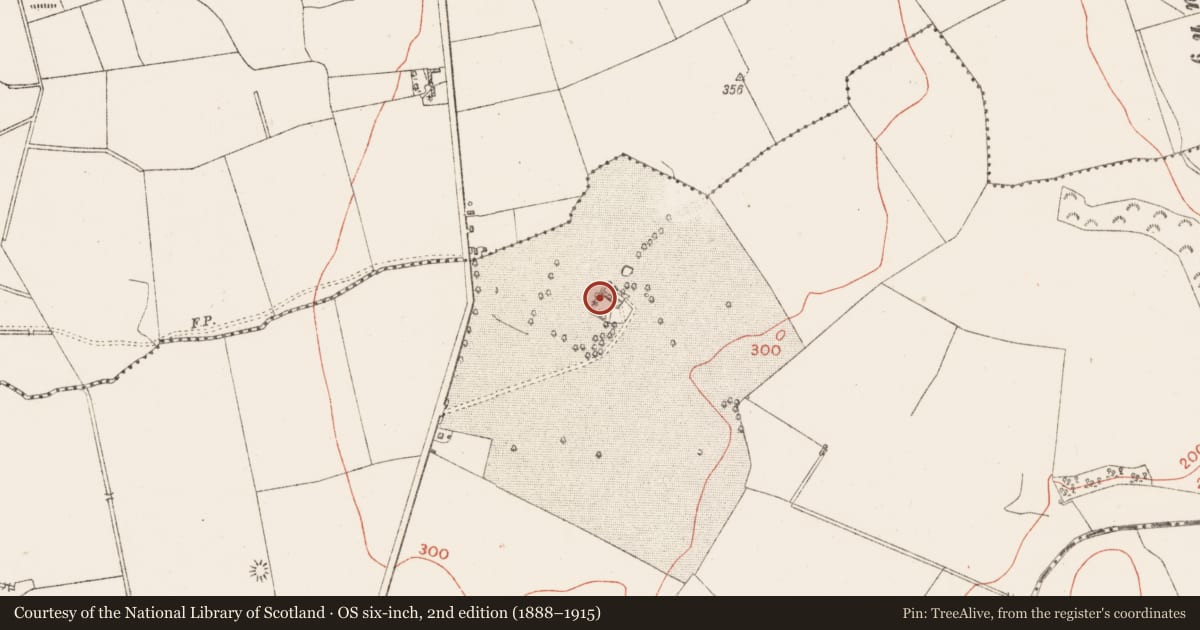 Ordnance Survey six-inch map, 2nd edition (1888–1915) covering the location of Castle - unclassified, Baskin High, County Westmeath, with a pin at the register's coordinates