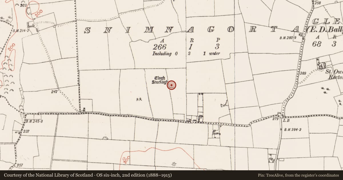 Ordnance Survey six-inch map, 2nd edition (1888–1915) covering the location of Standing stone, Snimnagorta, County Westmeath, with a pin at the register's coordinates