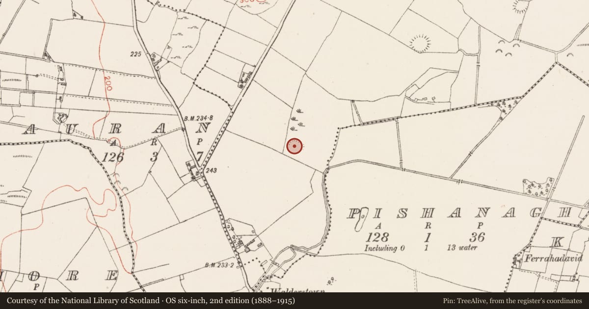 Ordnance Survey six-inch map, 2nd edition (1888–1915) covering the location of Earthwork, Ardnagragh (Digby), County Westmeath, with a pin at the register's coordinates