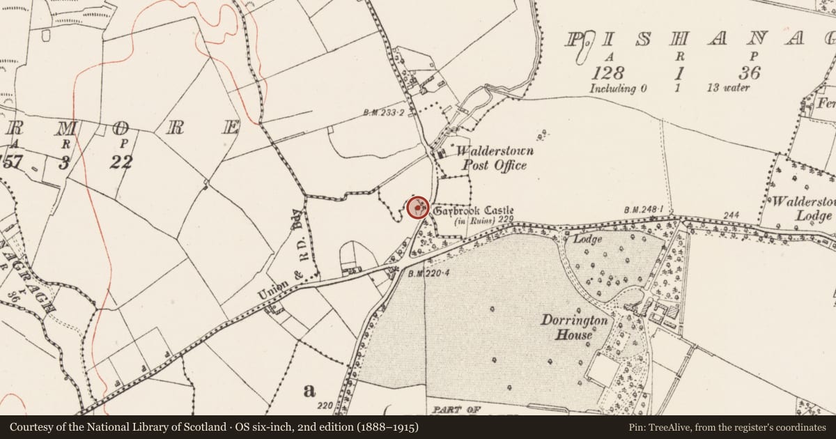 Ordnance Survey six-inch map, 2nd edition (1888–1915) covering the location of Castle - tower house, Walderstown, County Westmeath, with a pin at the register's coordinates