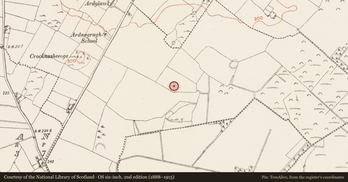 Ordnance Survey six-inch map, 2nd edition (1888–1915) covering the location of Ringfort - rath, Ardnagragh (Digby), County Westmeath, with a pin at the register's coordinates