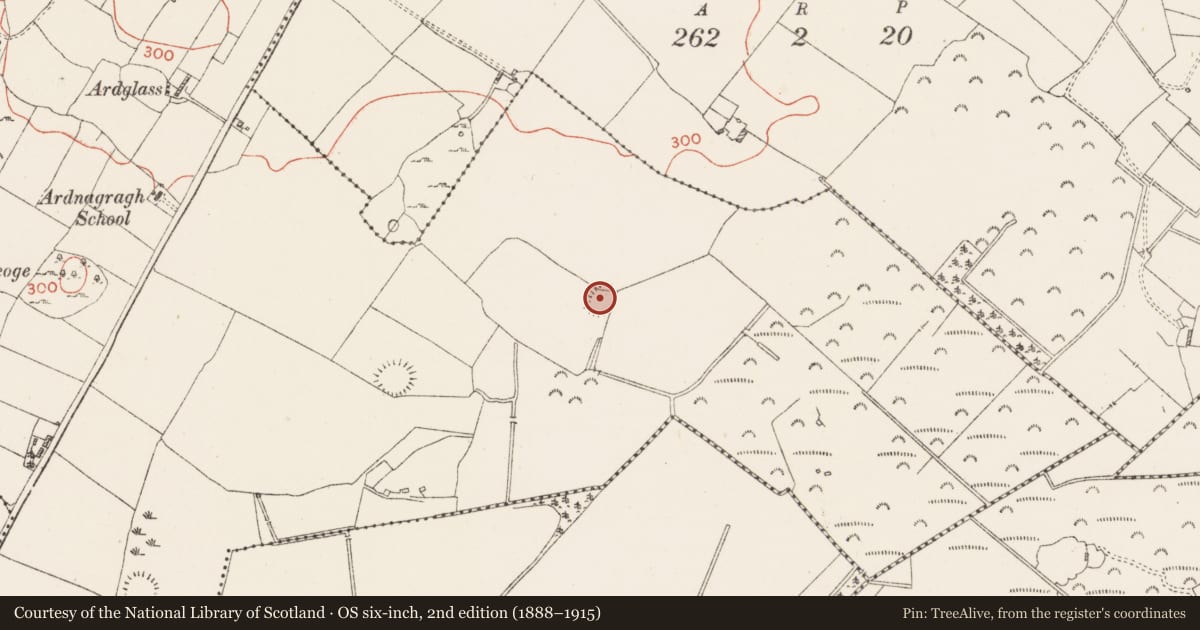 Ordnance Survey six-inch map, 2nd edition (1888–1915) covering the location of Ringfort - rath, Ardnagragh (Digby), County Westmeath, with a pin at the register's coordinates