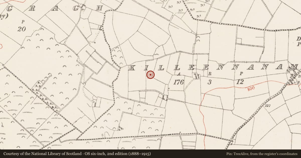 Ordnance Survey six-inch map, 2nd edition (1888–1915) covering the location of Moated site, Killeennanam, County Westmeath, with a pin at the register's coordinates