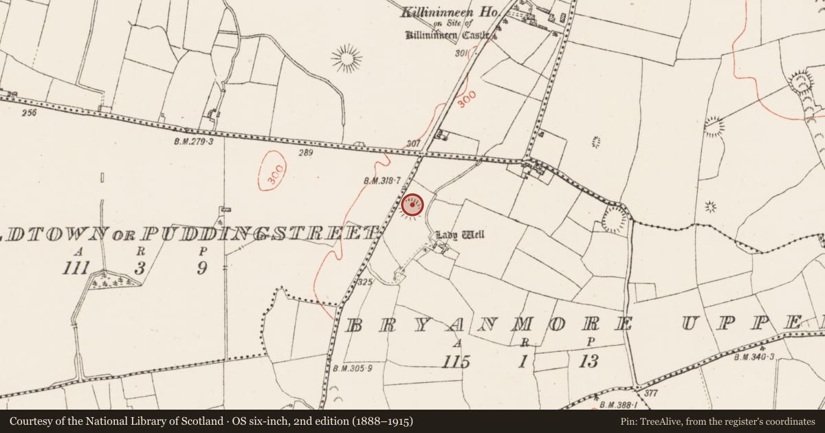 Ordnance Survey six-inch map, 2nd edition (1888–1915) covering the location of Ringfort - rath, Bryanmore Upper, County Westmeath, with a pin at the register's coordinates