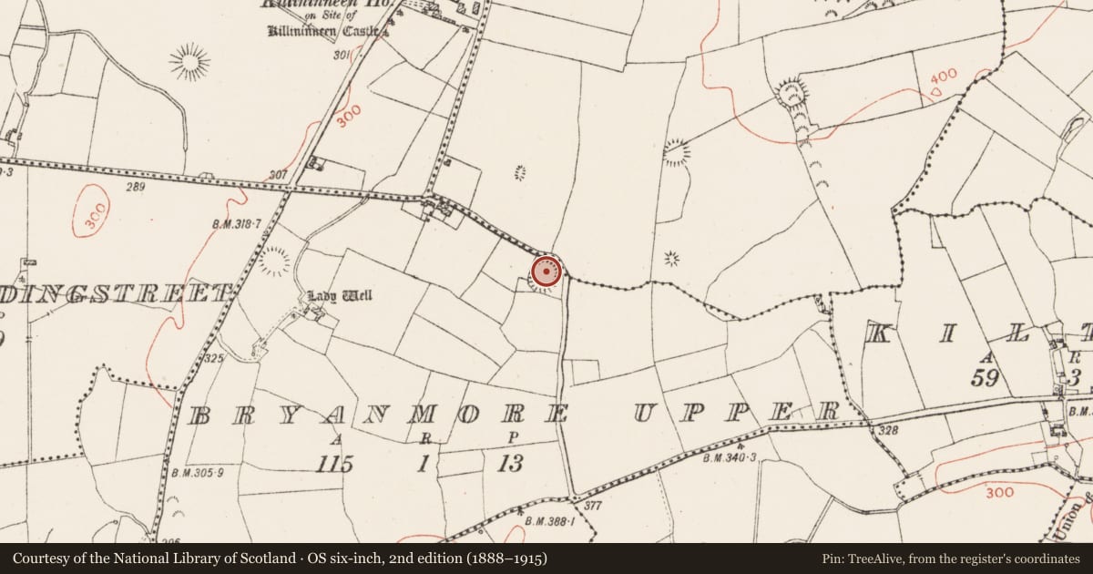 Ordnance Survey six-inch map, 2nd edition (1888–1915) covering the location of Ringfort - rath, Bryanmore Upper, County Westmeath, with a pin at the register's coordinates