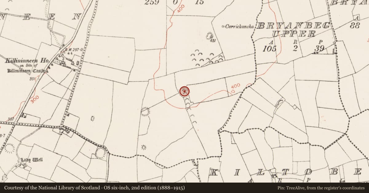 Ordnance Survey six-inch map, 2nd edition (1888–1915) covering the location of Ringfort - rath, Carrickaneha, County Westmeath, with a pin at the register's coordinates