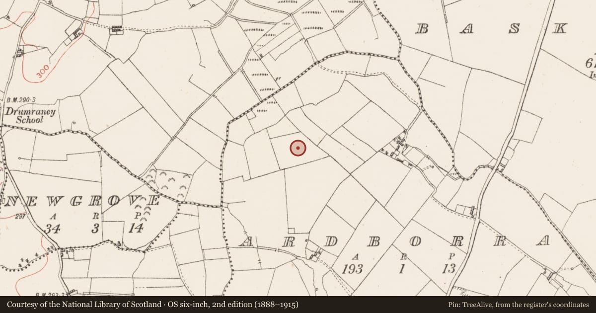 Ordnance Survey six-inch map, 2nd edition (1888–1915) covering the location of Souterrain, Ardborra, County Westmeath, with a pin at the register's coordinates