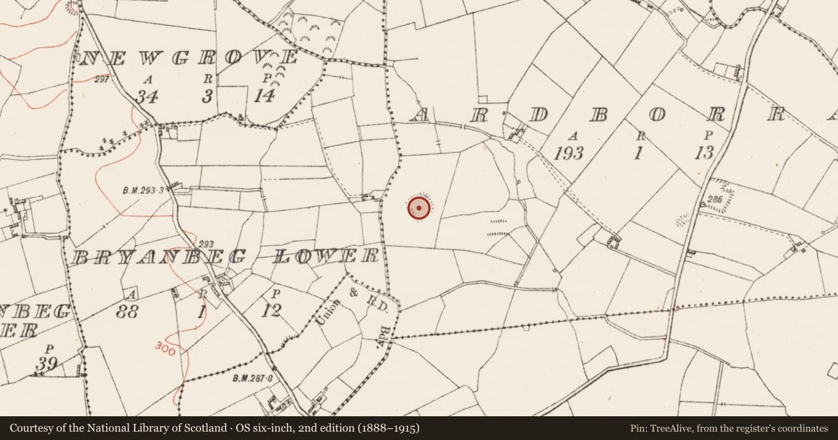 Ordnance Survey six-inch map, 2nd edition (1888–1915) covering the location of Moated site, Ardborra, County Westmeath, with a pin at the register's coordinates