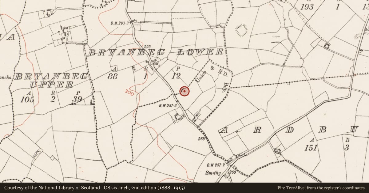Ordnance Survey six-inch map, 2nd edition (1888–1915) covering the location of Ringfort - rath, Lissanode, County Westmeath, with a pin at the register's coordinates
