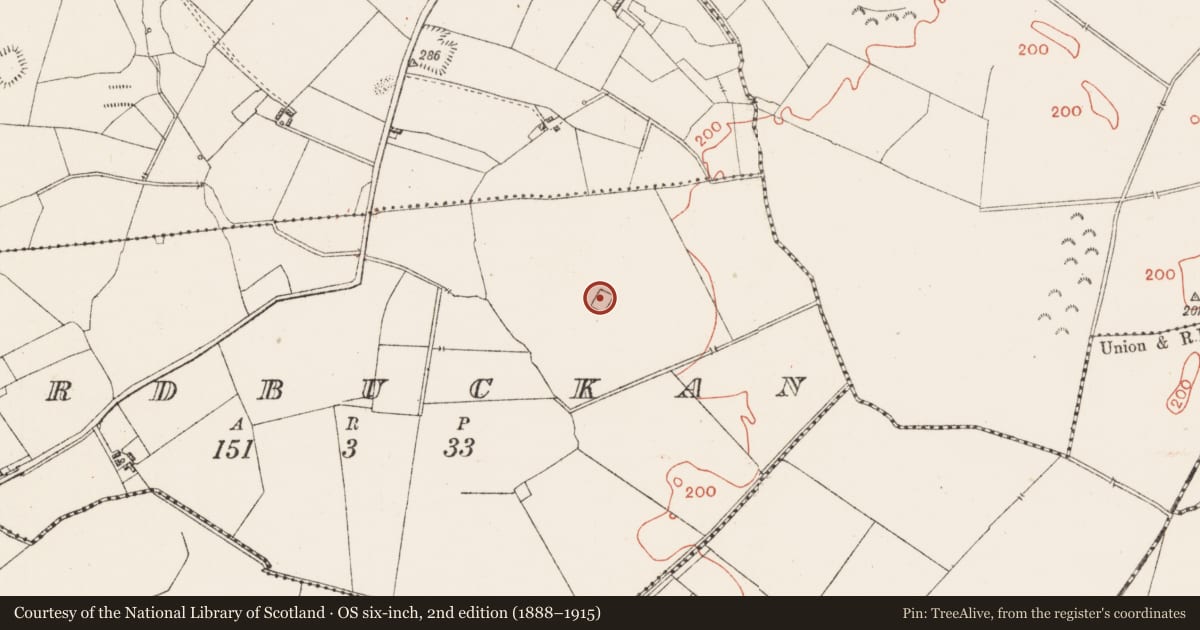 Ordnance Survey six-inch map, 2nd edition (1888–1915) covering the location of Enclosure, Ardbuckan, County Westmeath, with a pin at the register's coordinates