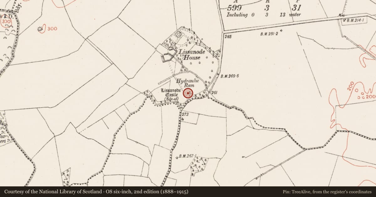 Ordnance Survey six-inch map, 2nd edition (1888–1915) covering the location of Castle - unclassified, Lissanode, County Westmeath, with a pin at the register's coordinates