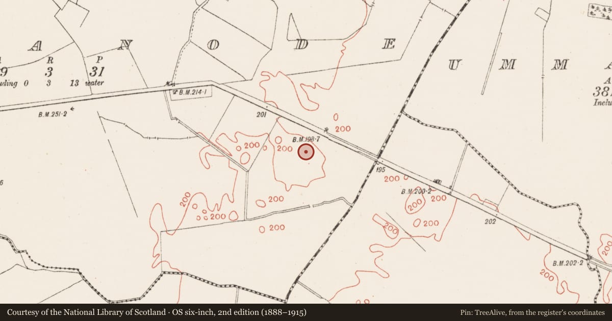 Ordnance Survey six-inch map, 2nd edition (1888–1915) covering the location of Earthwork, Lissanode, County Westmeath, with a pin at the register's coordinates
