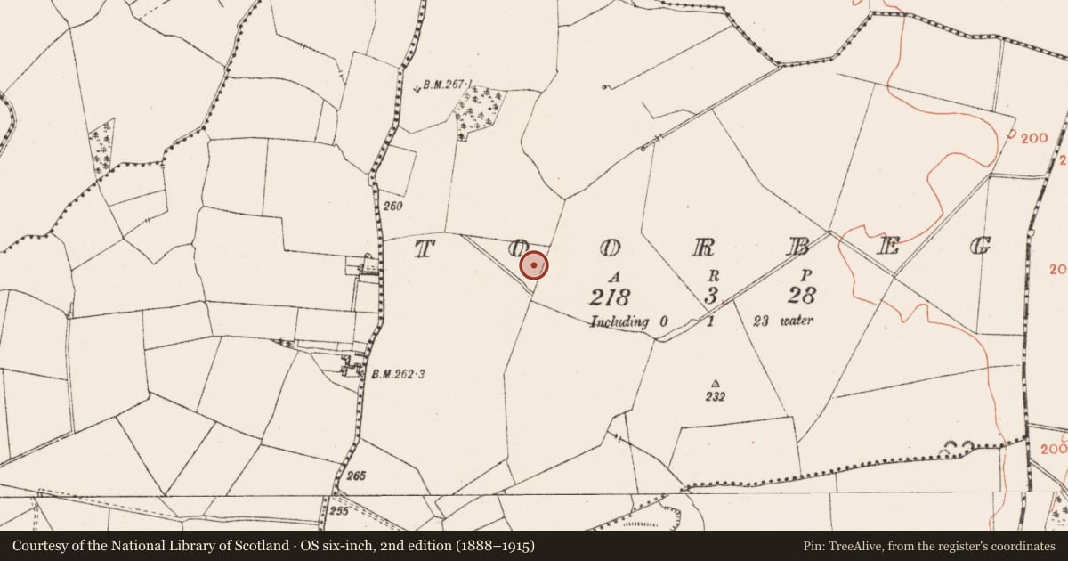 Ordnance Survey six-inch map, 2nd edition (1888–1915) covering the location of Ringfort - unclassified, Toorbeg, County Westmeath, with a pin at the register's coordinates