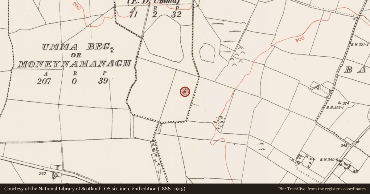 Ordnance Survey six-inch map, 2nd edition (1888–1915) covering the location of Ringfort - rath, Ballynafearagh, County Westmeath, with a pin at the register's coordinates