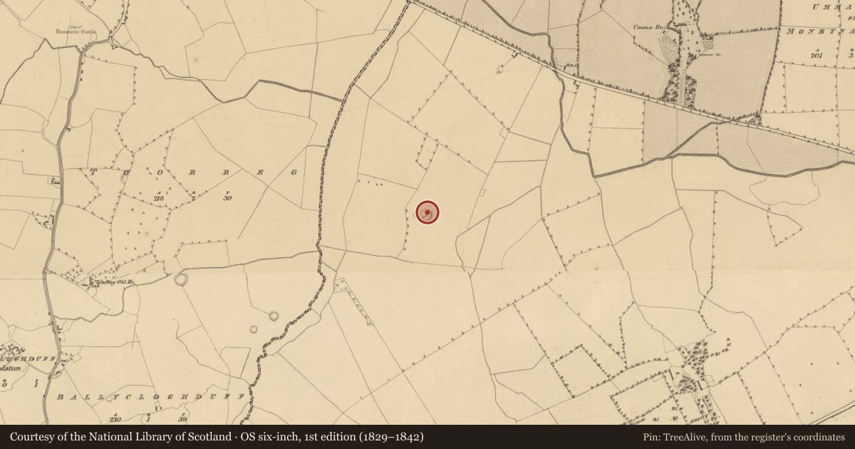 Ordnance Survey six-inch map, 1st edition (1829–1842) covering the location of House - indeterminate date, Moyvoughly, County Westmeath, with a pin at the register's coordinates