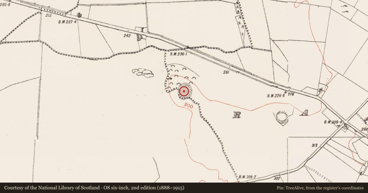 Ordnance Survey six-inch map, 2nd edition (1888–1915) covering the location of Ringfort - rath, Raheen, County Westmeath, with a pin at the register's coordinates