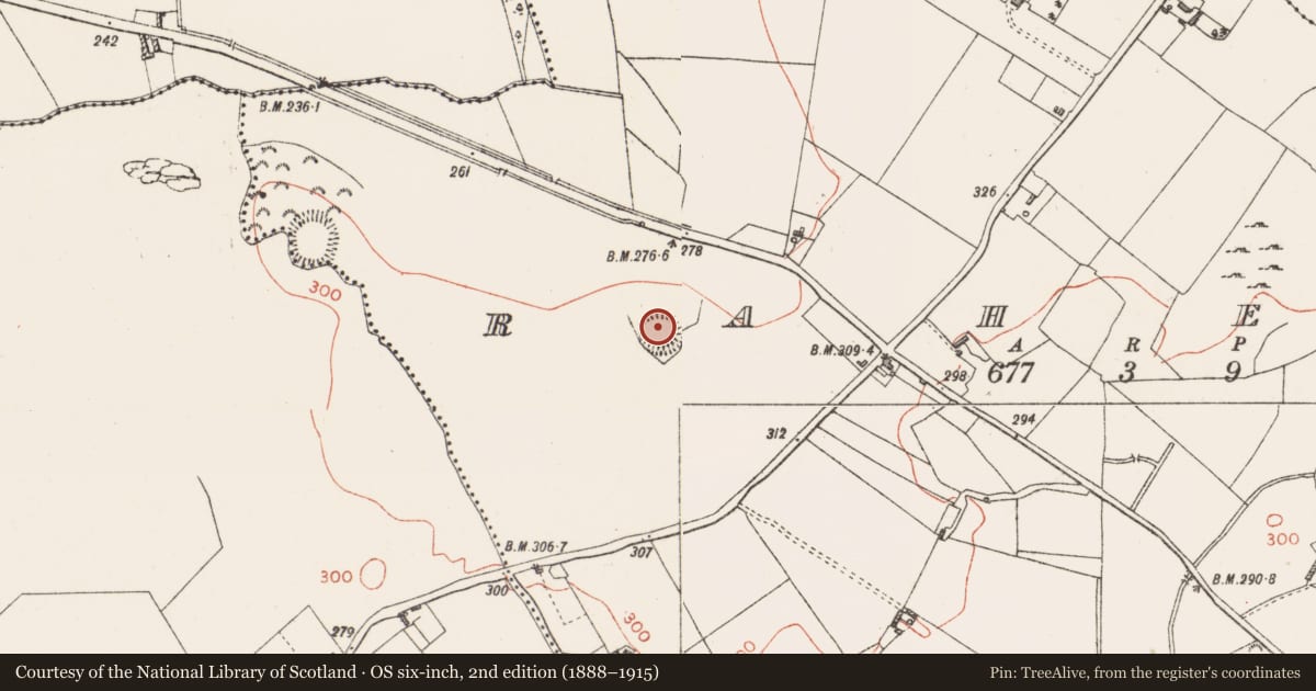 Ordnance Survey six-inch map, 2nd edition (1888–1915) covering the location of Ringfort - rath, Raheen, County Westmeath, with a pin at the register's coordinates