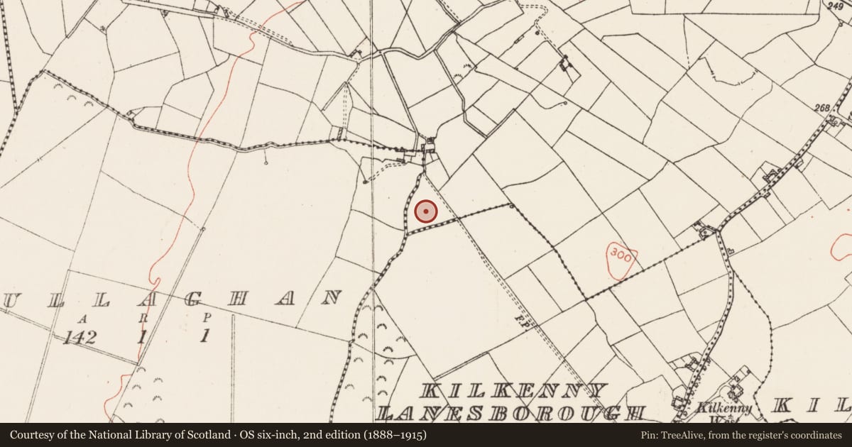 Ordnance Survey six-inch map, 2nd edition (1888–1915) covering the location of Burial ground, Kilkenny West, County Westmeath, with a pin at the register's coordinates