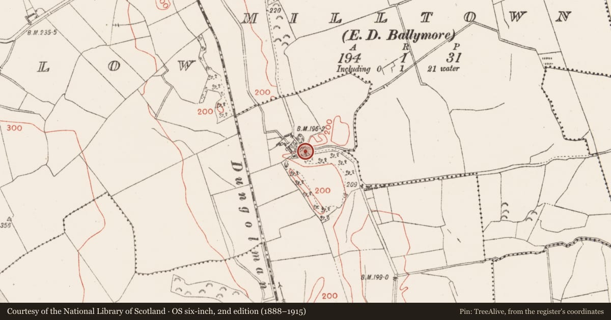 Ordnance Survey six-inch map, 2nd edition (1888–1915) covering the location of Mass-rock, Harrystown, County Westmeath, with a pin at the register's coordinates