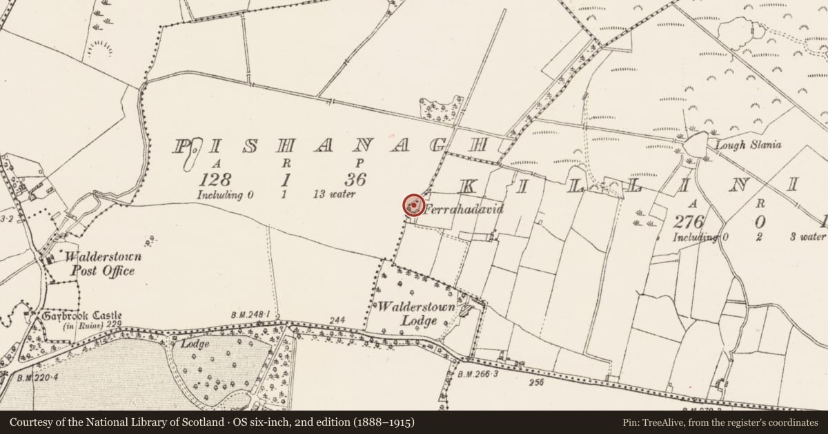 Ordnance Survey six-inch map, 2nd edition (1888–1915) covering the location of Mass-rock, Killininneen, County Westmeath, with a pin at the register's coordinates