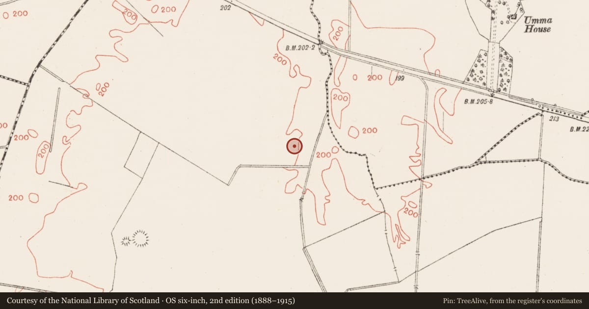 Ordnance Survey six-inch map, 2nd edition (1888–1915) covering the location of Enclosure, Moyvoughly, County Westmeath, with a pin at the register's coordinates