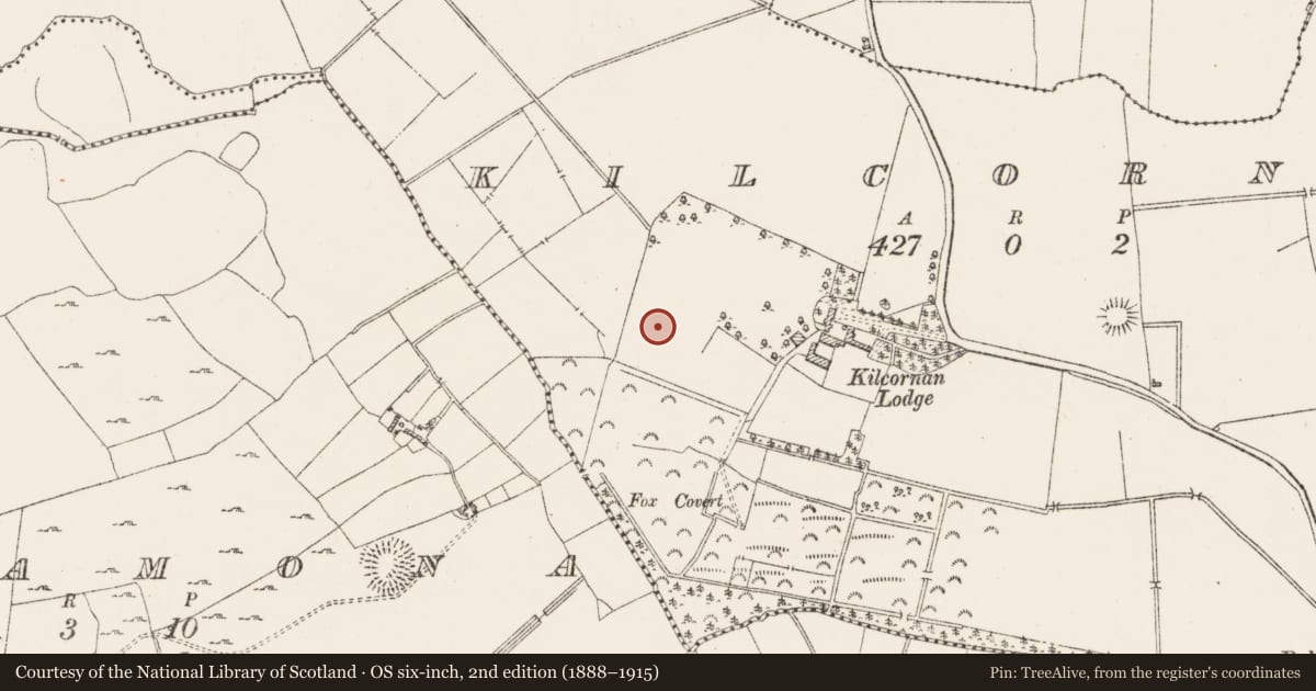 Ordnance Survey six-inch map, 2nd edition (1888–1915) covering the location of Earthwork, Kilcornan, County Westmeath, with a pin at the register's coordinates
