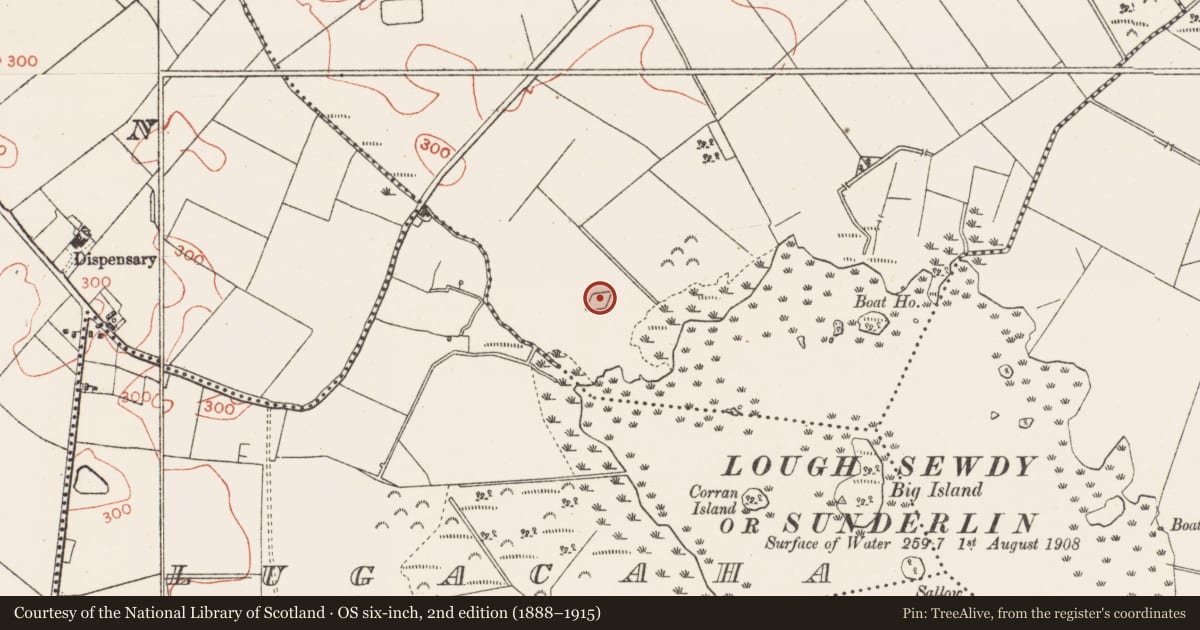 Ordnance Survey six-inch map, 2nd edition (1888–1915) covering the location of Ringfort - unclassified, Shinglis, County Westmeath, with a pin at the register's coordinates
