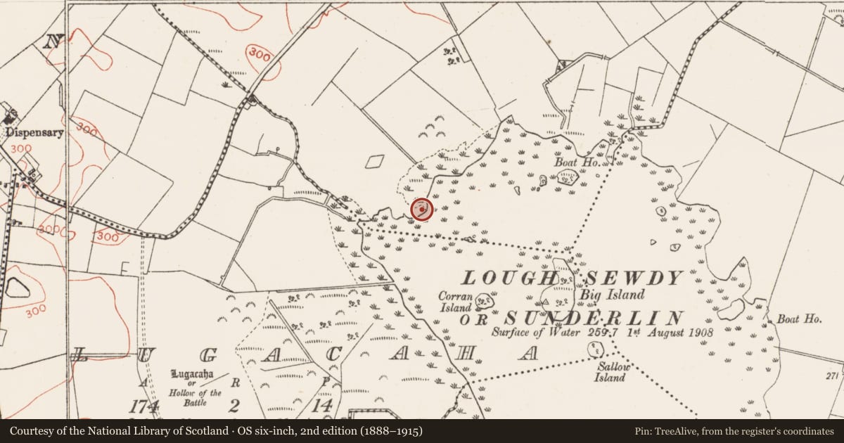 Ordnance Survey six-inch map, 2nd edition (1888–1915) covering the location of Crannog, Shinglis, County Westmeath, with a pin at the register's coordinates