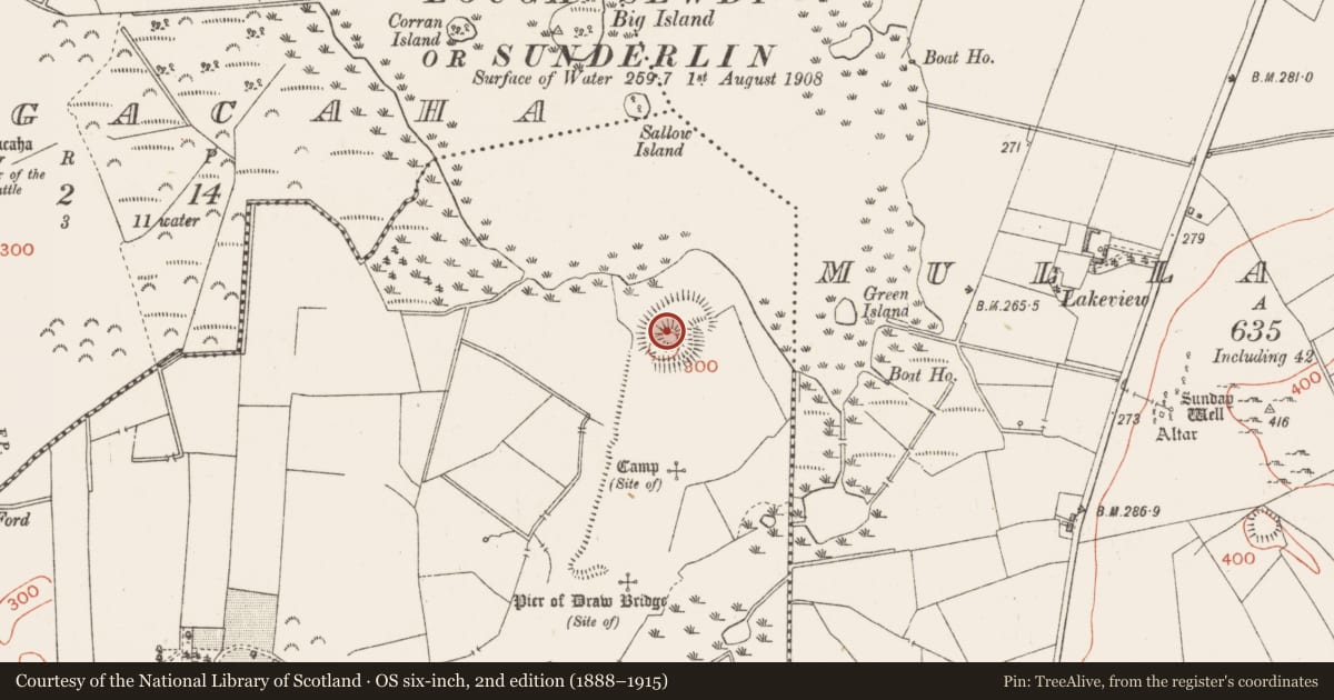 Ordnance Survey six-inch map, 2nd edition (1888–1915) covering the location of Castle - motte and bailey, Ballymore, County Westmeath, with a pin at the register's coordinates