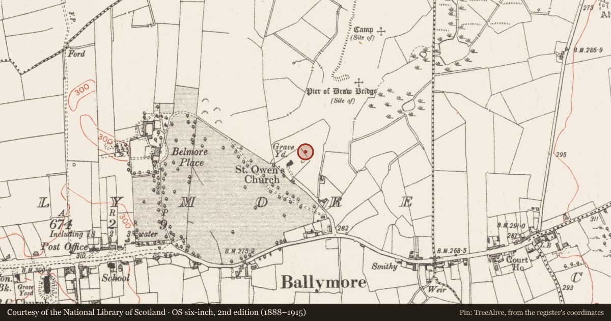 Ordnance Survey six-inch map, 2nd edition (1888–1915) covering the location of Children's burial ground, Ballymore, County Westmeath, with a pin at the register's coordinates