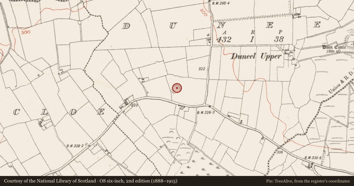 Ordnance Survey six-inch map, 2nd edition (1888–1915) covering the location of Ringfort - rath, Duneel, County Westmeath, with a pin at the register's coordinates