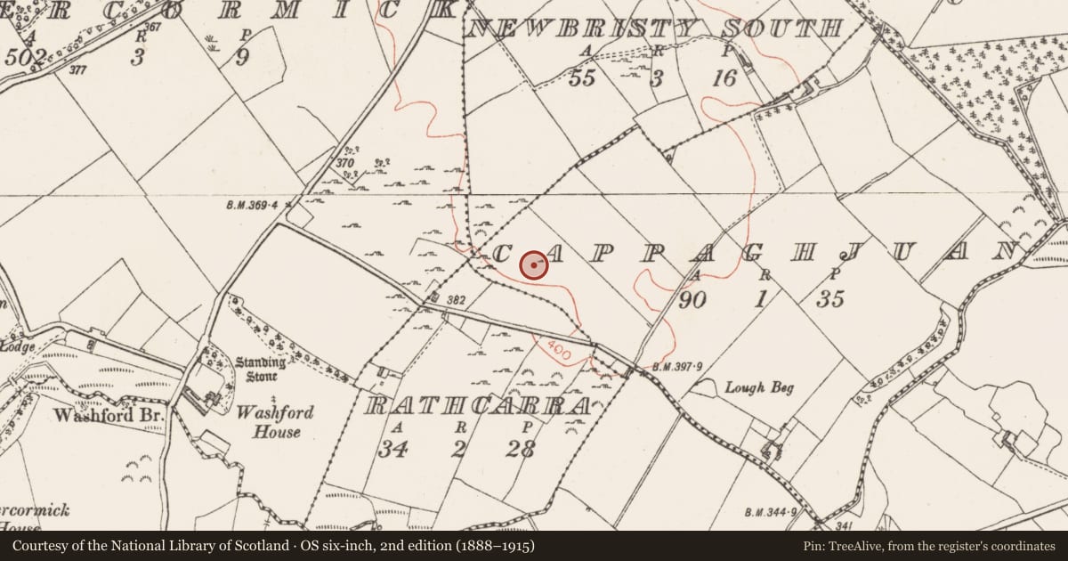 Ordnance Survey six-inch map, 2nd edition (1888–1915) covering the location of Standing stone, Cappaghjuan, County Westmeath, with a pin at the register's coordinates