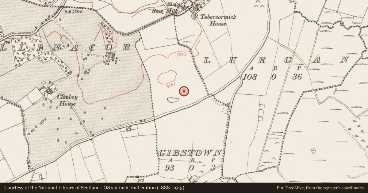 Ordnance Survey six-inch map, 2nd edition (1888–1915) covering the location of Standing stone, Gibstown, County Westmeath, with a pin at the register's coordinates