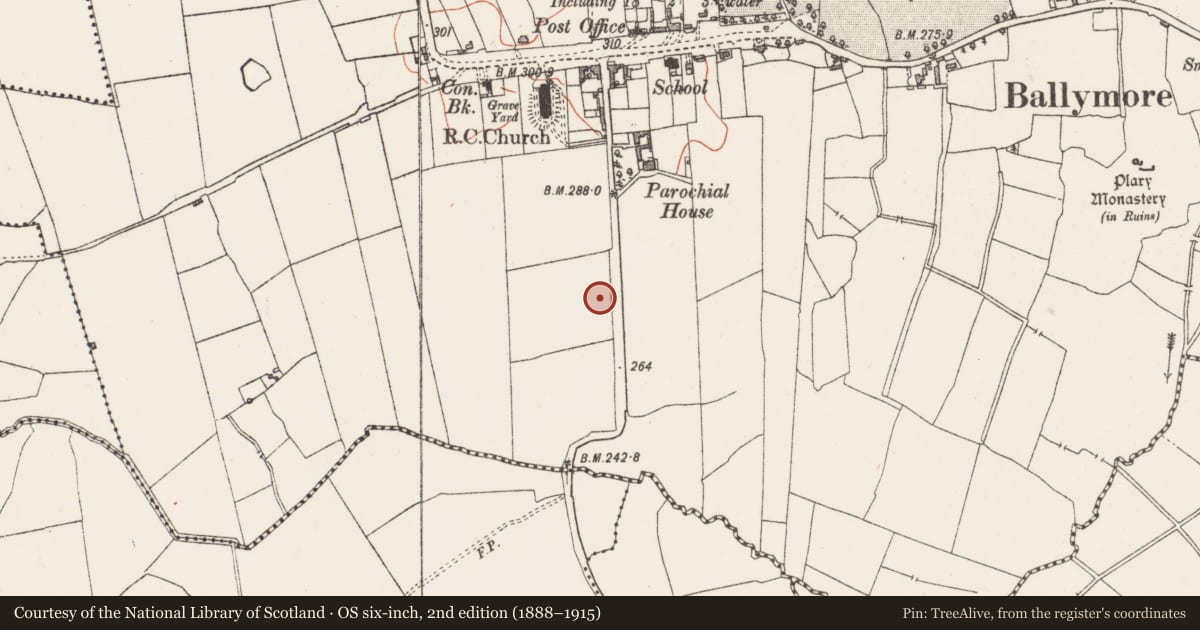 Ordnance Survey six-inch map, 2nd edition (1888–1915) covering the location of Standing stone, Ballymore, County Westmeath, with a pin at the register's coordinates