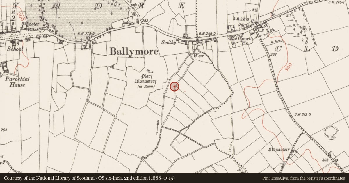 Ordnance Survey six-inch map, 2nd edition (1888–1915) covering the location of Religious house - Augustinian canons, Ballymore, County Westmeath, with a pin at the register's coordinates