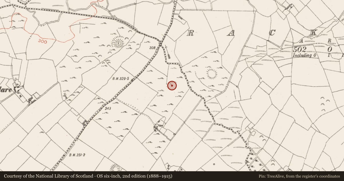 Ordnance Survey six-inch map, 2nd edition (1888–1915) covering the location of Ringfort - rath, Dungaghy, County Westmeath, with a pin at the register's coordinates