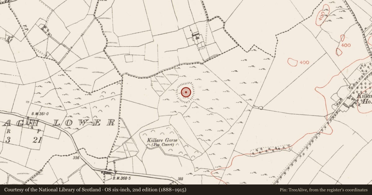 Ordnance Survey six-inch map, 2nd edition (1888–1915) covering the location of Enclosure - large enclosure, Killarecastle, County Westmeath, with a pin at the register's coordinates