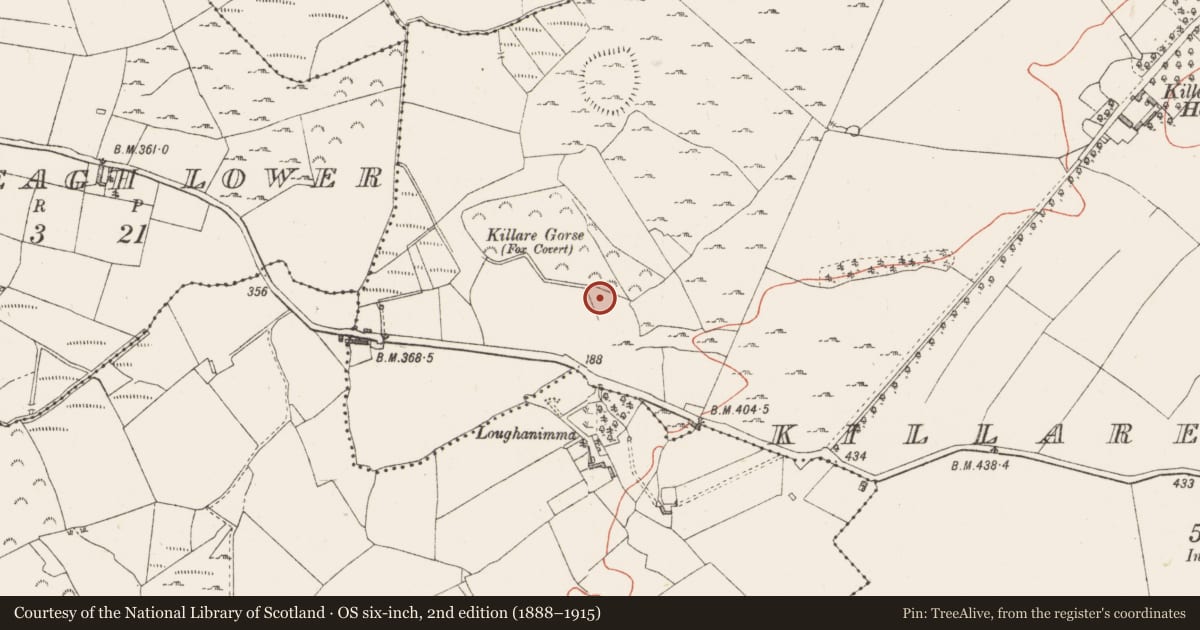 Ordnance Survey six-inch map, 2nd edition (1888–1915) covering the location of Cist, Killarecastle, Rackavra, County Westmeath, with a pin at the register's coordinates