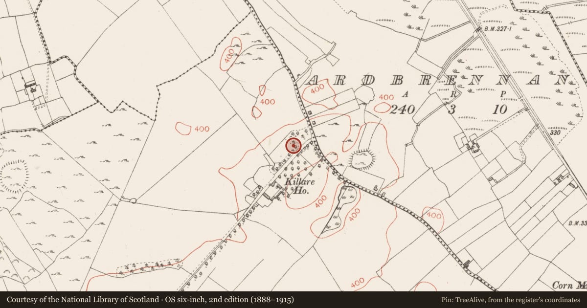 Ordnance Survey six-inch map, 2nd edition (1888–1915) covering the location of Standing stone, Killarecastle, County Westmeath, with a pin at the register's coordinates