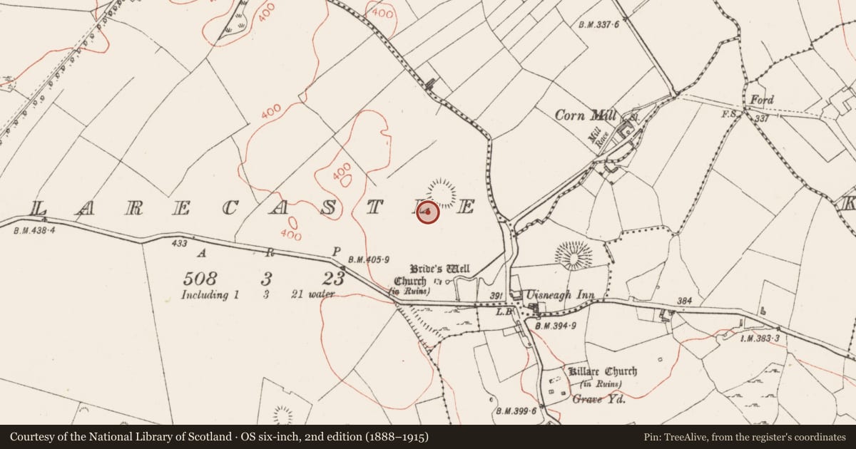 Ordnance Survey six-inch map, 2nd edition (1888–1915) covering the location of Field system, Killarecastle, County Westmeath, with a pin at the register's coordinates